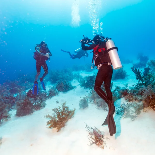 Buceador toma fotos bajo el agua — Foto de Stock