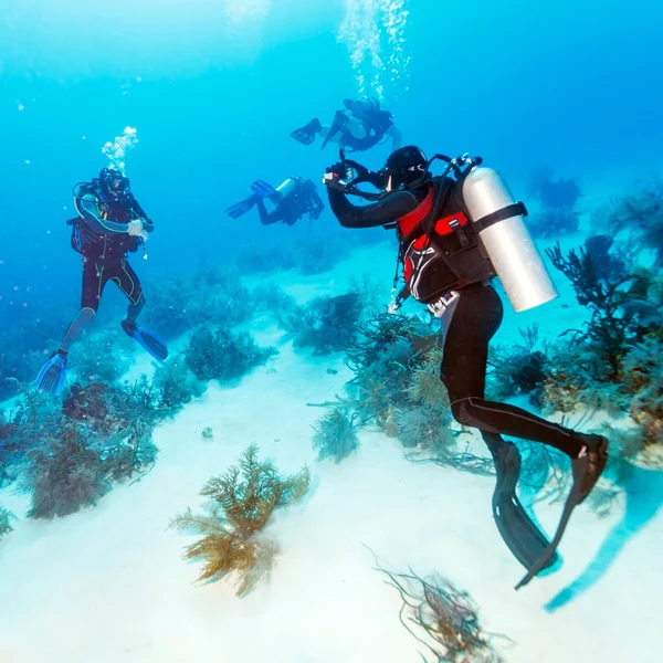 Buceador toma fotos bajo el agua — Foto de Stock