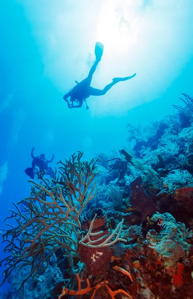Giovane subacqueo — Foto Stock