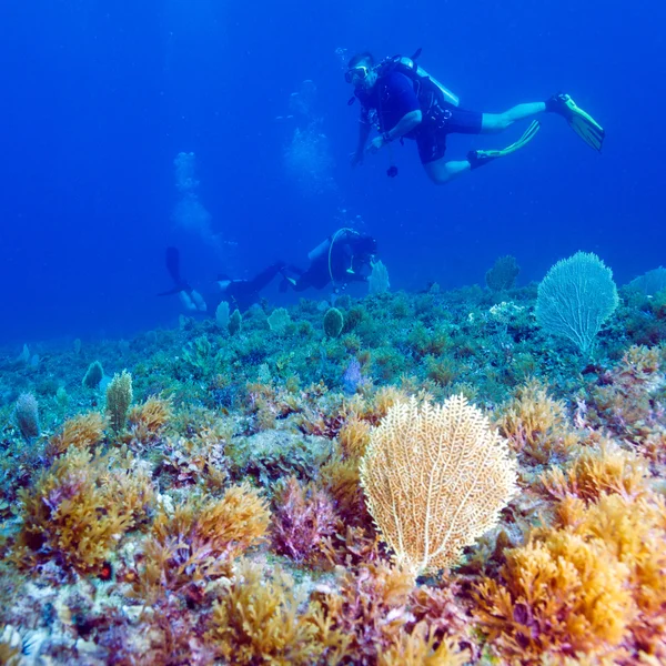 Joven buzo de buceo — Foto de Stock