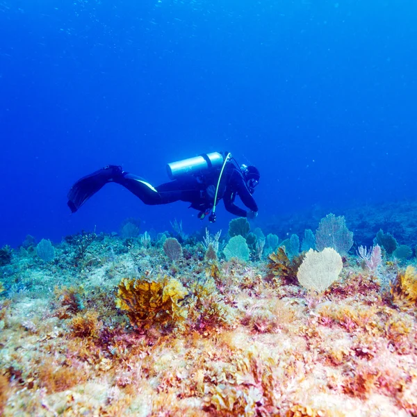 Młody człowiek Scuba Diver — Zdjęcie stockowe