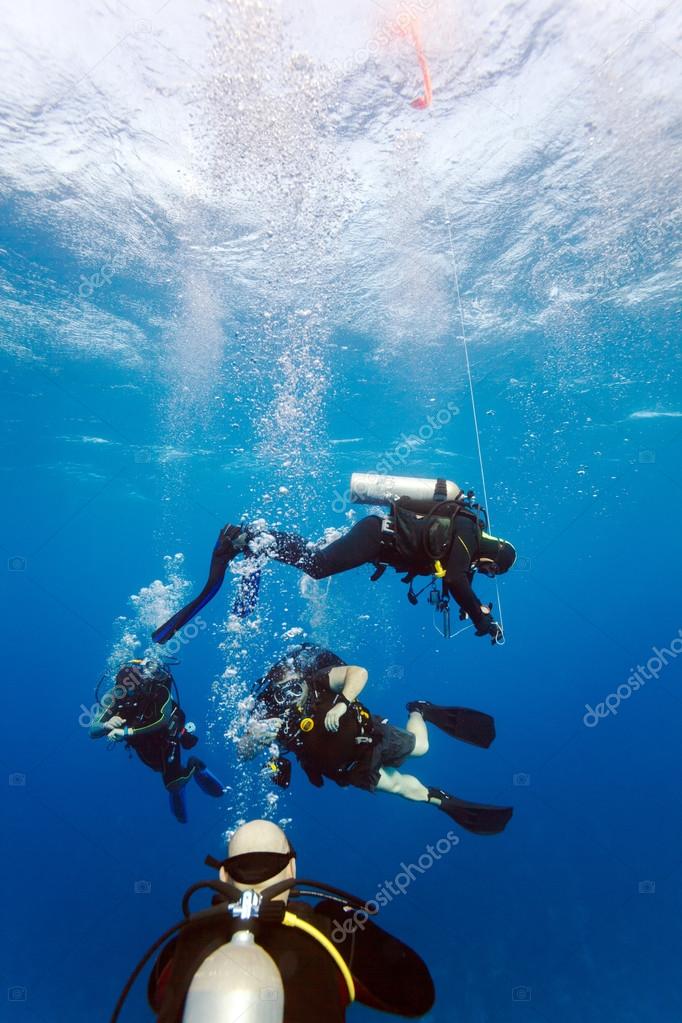 Group of divers on 5-min safety stop