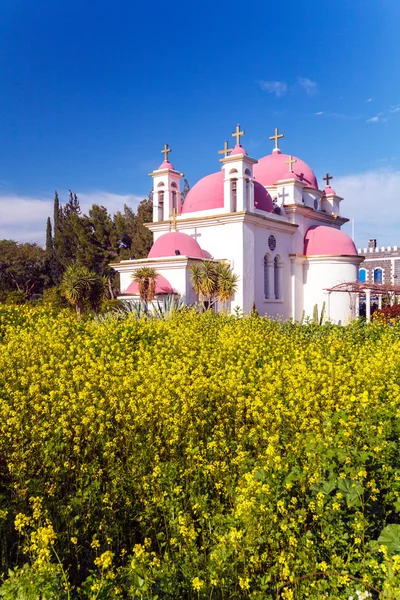 Orthodoxe Kirche und Senffeld in der Nähe des galiläischen Meeres — Stockfoto