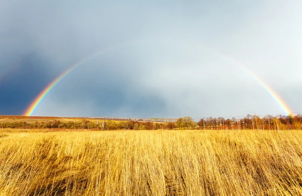 Belle arc-en-ciel plein au-dessus de Farm Field au printemps — Photo