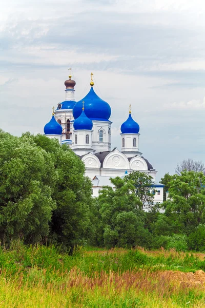 Kutsal Bogolyubovo Manastırı Bogolyubskaya Katedrali ile ben — Stok fotoğraf