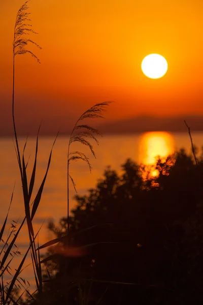 日落与草甸草地，Chalkidiki — 图库照片