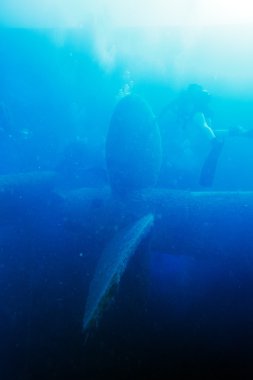 Zenobia gemi enkazı yakınında paphos, Kıbrıs