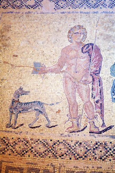 Ancient Mosaics in the Archaeological Site, Paphos, Cyprus — Stock Photo, Image
