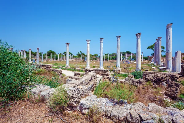 Salamis Mağusa yakınlarında kalıntıları — Stok fotoğraf