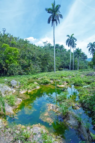 Paisaje de Topes de Collantes, Cuba — Foto de Stock