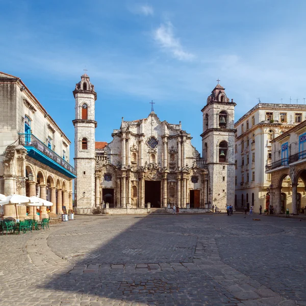 Catedral de la Virgen María de la Inmaculada Concepción (1748 - —  Fotos de Stock