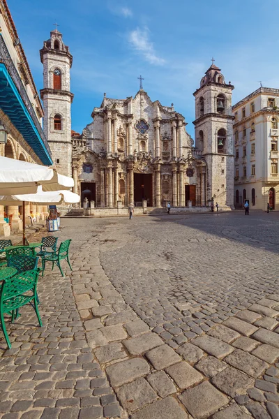 Catedral de la Virgen María de la Inmaculada Concepción (1748 - — Foto de Stock