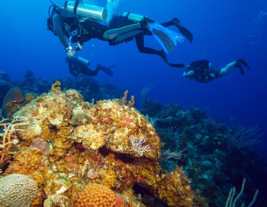 Derma resif ve grup dalgıçlar, cayo largo, Küba