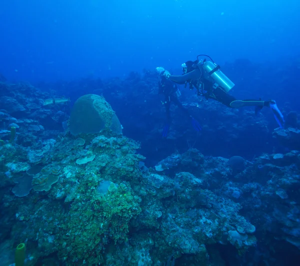 Sesión de fotos submarinas, Cuba — Foto de Stock