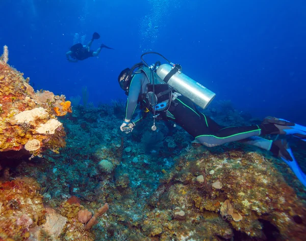 Barriera colorata e gruppo di subacquei, Cayo Largo, Cuba — Foto Stock