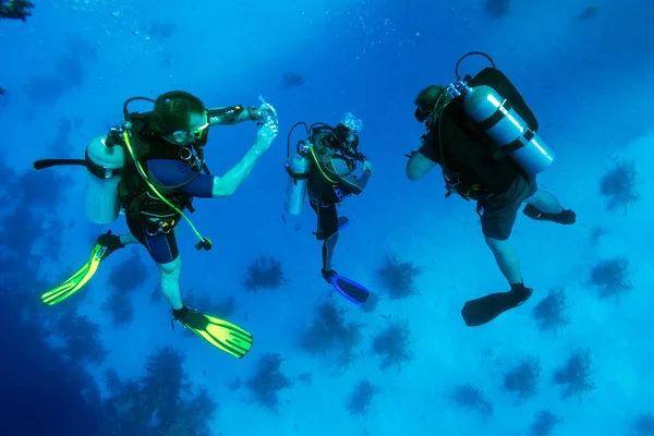 Groep van duikers op 5-min veiligheid stoppen, cuba — Stockfoto