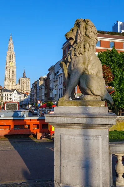 Lion Statue and Cathedral of Our Lady, Antwerp — Stock Photo, Image