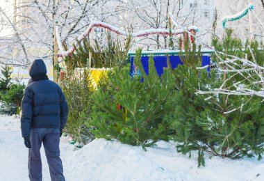 Frsh Noel ağaçları açık satış