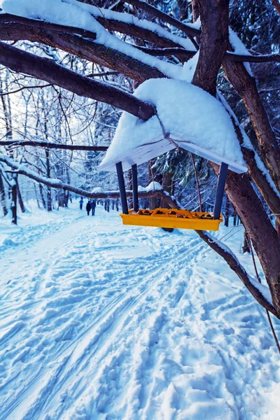 Fågelbordet på Park — Stockfoto