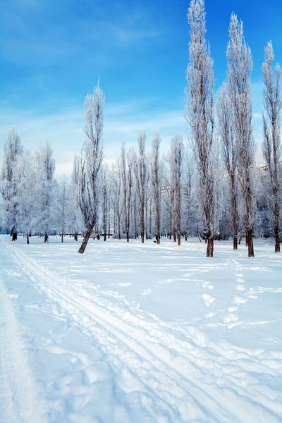 Nevado paisaje de invierno — Foto de Stock