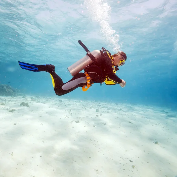 海の底の近くのスキューバダイバーのシルエット — Stock fotografie