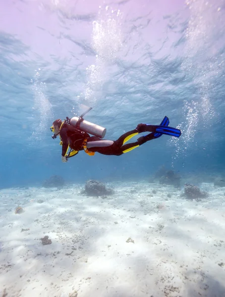 海の底の近くのスキューバダイバーのシルエット — Stock fotografie