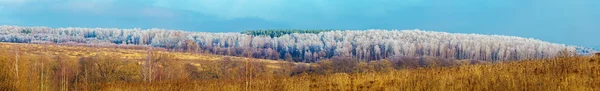 Extra breed Panorama van Rime op bomen — Stockfoto