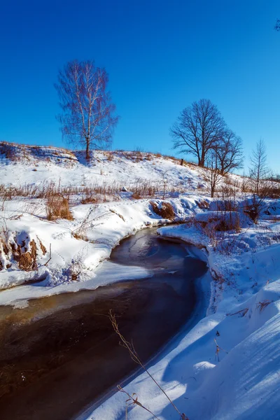 Paesaggio invernale con foresta e fiume — Foto Stock