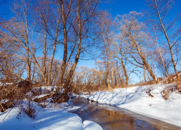 Paisagem de inverno com floresta e rio — Fotografia de Stock