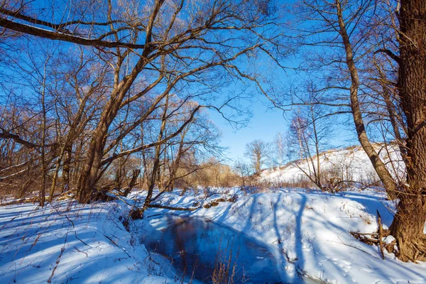 Зимний пейзаж с лесом и рекой — стоковое фото