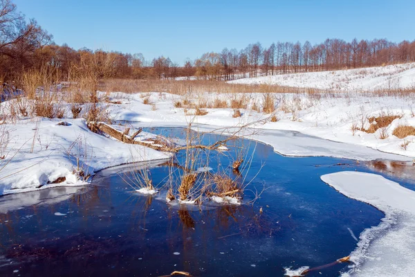 Vinterlandskap med skog och älv — Stockfoto