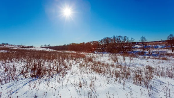 Солнечное белое снежное поле — стоковое фото