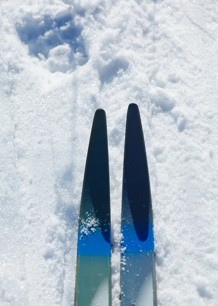 Cross Country Ski i śnieg — Zdjęcie stockowe