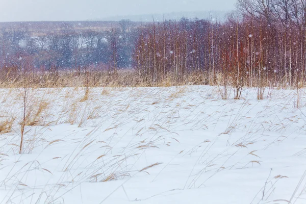 Schneefall im Winter schneebedecktes Feld Hintergrund — Stockfoto