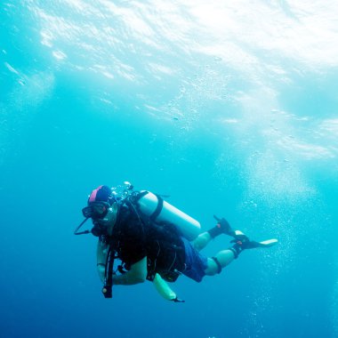 Scuba Diver Okyanusu