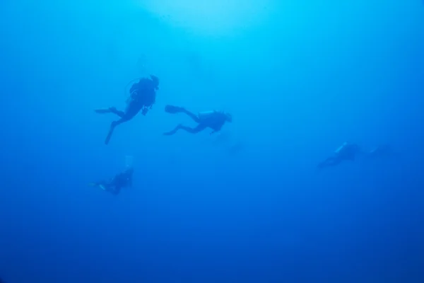 Underwater Background with Silhouettes of Diver — Stock Photo, Image