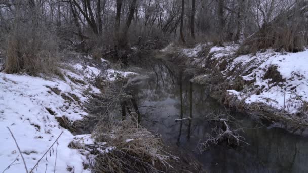 De rivier die stroomt door middel van Winter Forest — Stockvideo