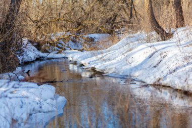 Orman ve nehirle kaplı kış manzarası