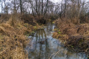 Küçük orman nehir sonbahar