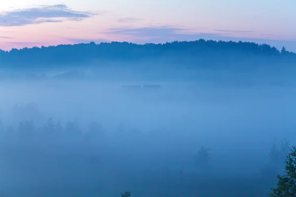 Misty hermosa naturaleza fondo — Foto de Stock
