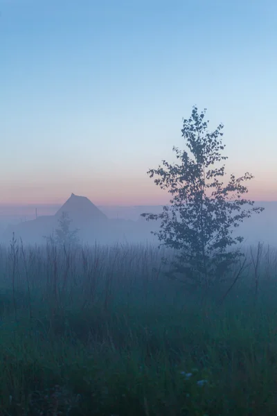 Misty hermosa naturaleza fondo — Foto de Stock