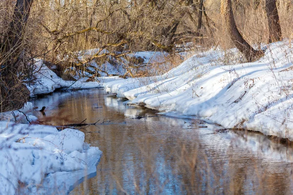 Paisaje invernal con bosque y río —  Fotos de Stock