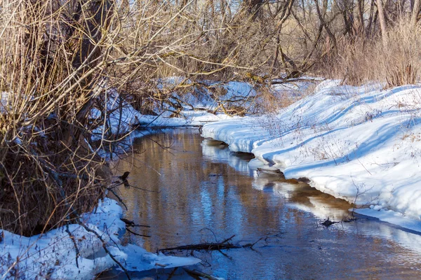 Paesaggio invernale con foresta e fiume — Foto Stock