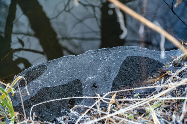 Paesaggio invernale con foresta e fiume — Foto Stock