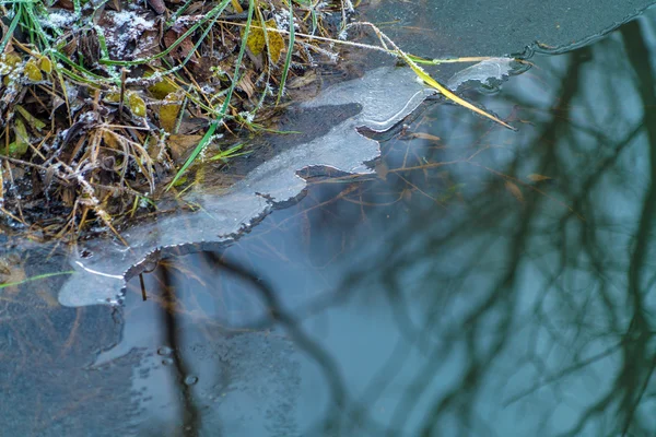 Zimní krajina s lesem a řekou — Stock fotografie