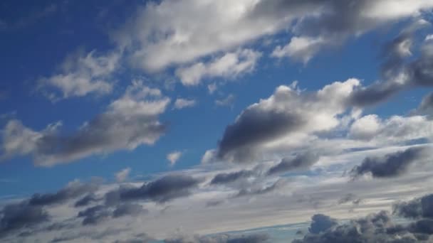 Nubes de tormenta de lluvia en movimiento rápido — Vídeo de stock