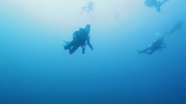 Skupina Scuba potápěči plavání — Stock video