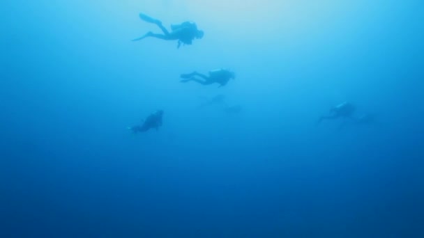 Grupp av Scuba dykare simning — Stockvideo