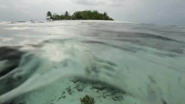 Isola tropicale e barriera corallina Vita subacquea — Video Stock