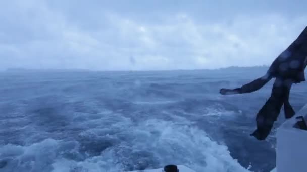 Ağır Rüzgar ve dalgalar okyanusta tropikal yağmur fırtınası — Stok video